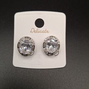Delicates Silver Oval Crystal Earrings